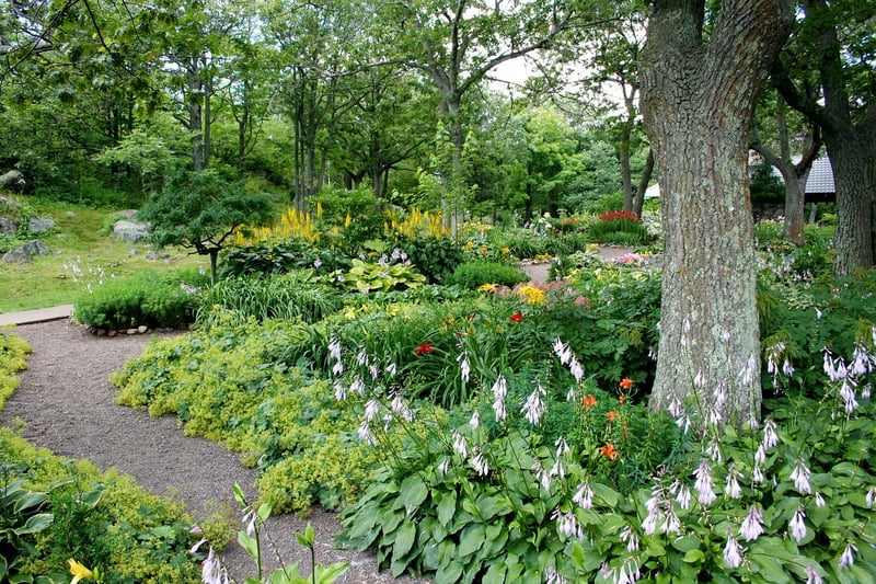 Peaceful garden