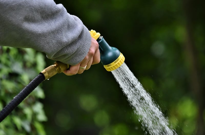 Watering Can in Garden